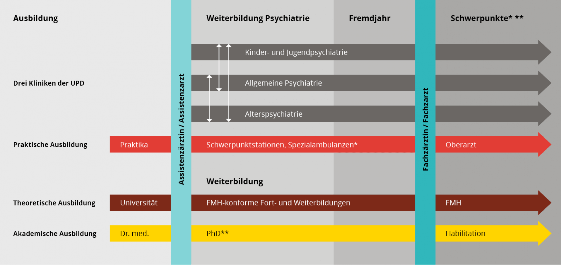Ihre medizinische Laufbahn – alles aus einer Hand. – UPD-Jobs