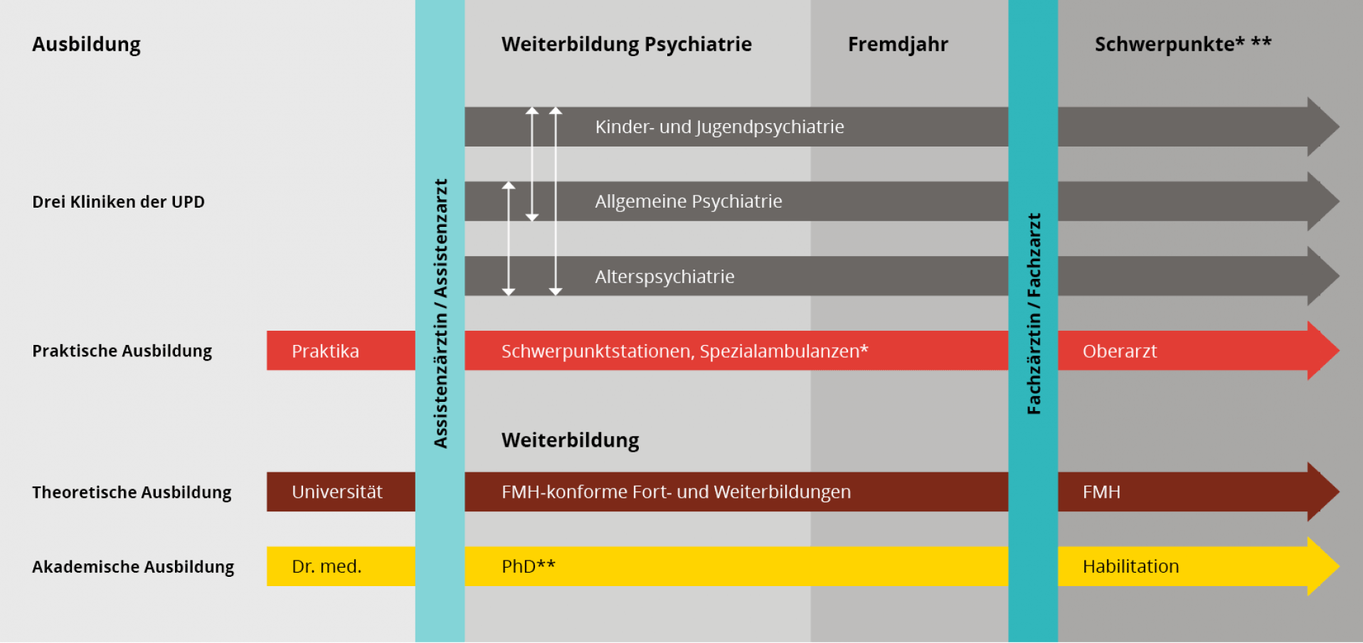 uebersicht-weiterbildung-facharzt