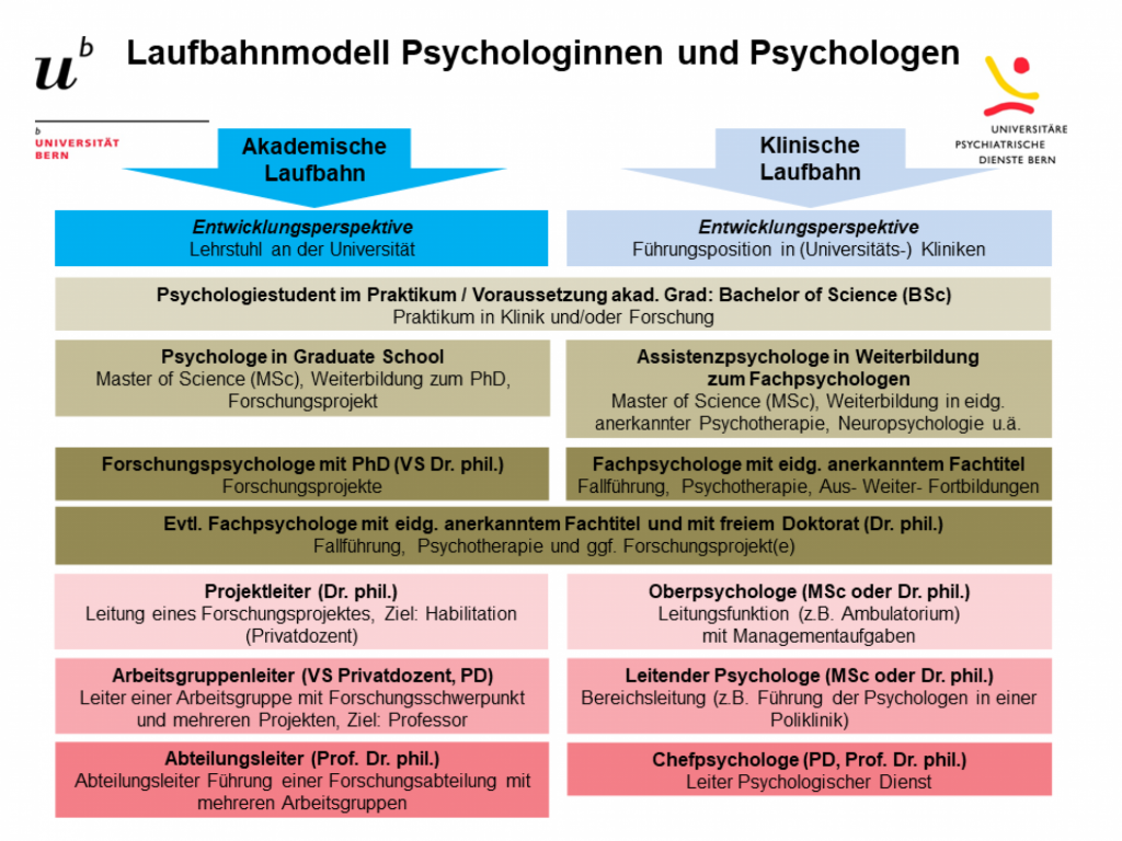 plan-de-carriere-psychologues-en-clinique-universitaire